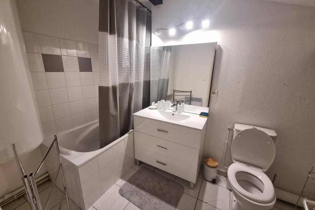 Appartement Exceptionnel 4 Etoiles Hyper Centre Albi 65 M2 Au 4Eme Etage Sans Ascenseur Avec Une Tour Du 12Eme Siecle Екстер'єр фото